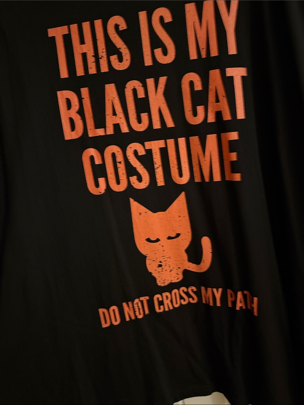 Black Pet Shirt with Orange 'This Is My Black Cat Costume' Graphic